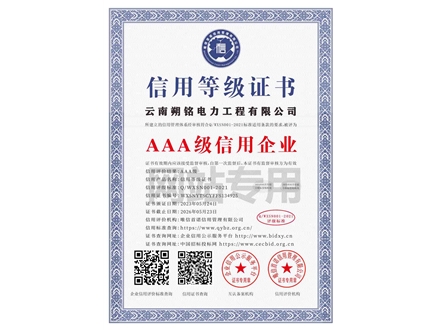 信用等級(jí)證書(shū)